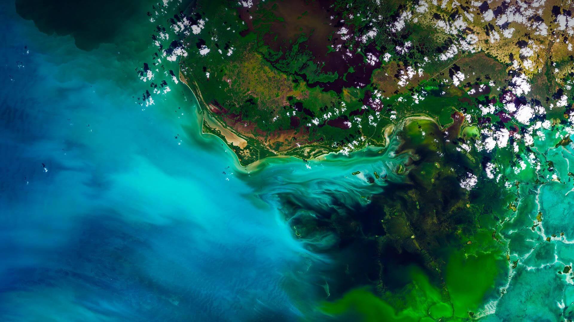 Aerial shot of Everglades National Park