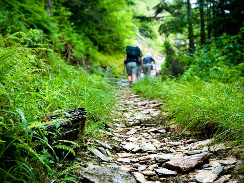 Hiking Trail picture